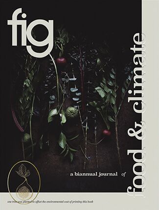 16fig2.jpg